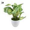 Flower Foliage  Potted Bonsai Office Decor