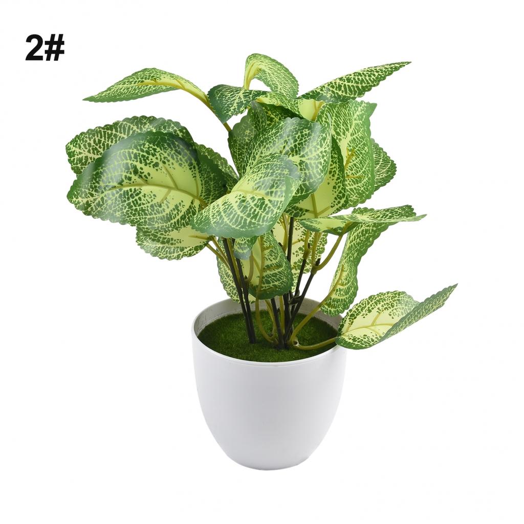 Flower Foliage  Potted Bonsai Office Decor
