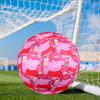 Dance Party With Peppa Size 5 Soccer Ball, Suitable for Training and Matches, High-Elasticity, Wear-Resistant Material Gift for Fan