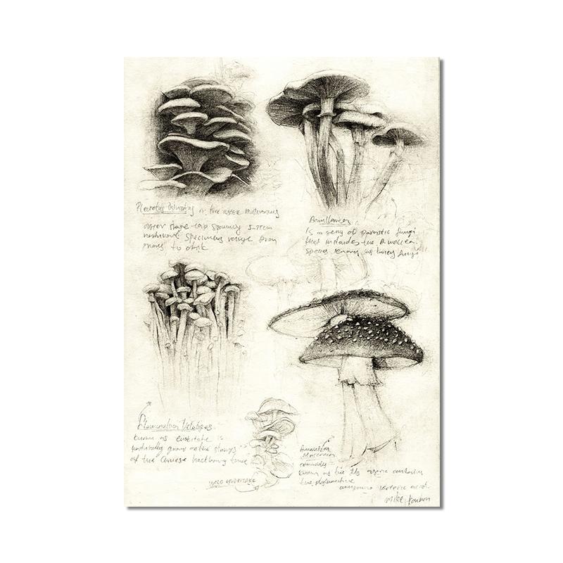 Vintage Fox Butterfly Deer Insect Note Retro Poster Mushrooms Canvas Painting Wall Art Print Wall Pictures for Living Room Decor