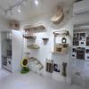 Wall-mounted Cat Furniture Set Cat Scratching Post Hammock Wooden Staircase Indoor Cat Toys Resting and Playing