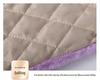 Autumn Winter Student Dorm Mattress Pad Tatami Velvet Blanket for Waist Protection