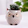 Home Garden Supplies Decoration Ceramic Flowerpots Miniature Model Cute Owl Succulent Flower Pot Planter Desktop Decorations