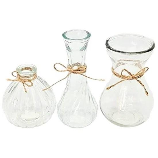 KINOKINO Vase Small Glass Flower Single Stem 3-Piece Set Stylish Scandinavian Transparent Mini Jute String Ikebana Hydroponics Interior