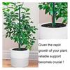 Plant Support Stakes Stackable Monstera Support Stick Planter Insert Stake for Indoor Outdoor Gardening Vine Training Stem Stabilization
