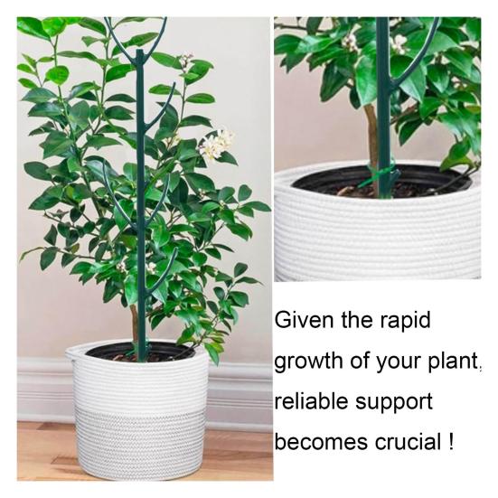 Plant Support Stakes Stackable Monstera Support Stick Planter Insert Stake for Indoor Outdoor Gardening Vine Training Stem Stabilization