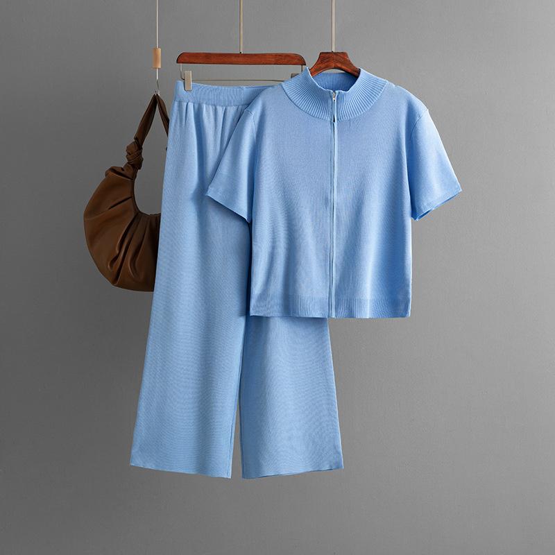 

Женская мода Полувысокая горловина Однотонный Короткий рукав На молнии Комплект Брюки широкие от бедра Комплект из двух предметов One Size синий