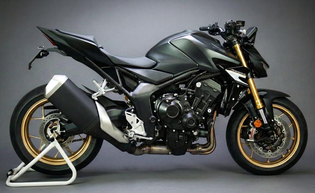 PinkFactory 25 CB1000 HORNET / SP Fender Eliminator Kit [Compatible with 2021 New Standard 40° License Plate Angle] Factory-Direct Model