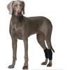 ROZKITCH Dog Leg Protector for Rear Hock Joint or Front Leg Knee, 1 Pair of Dog Leg Compression Wrap Sleeve for Anti Licking Carpal Support Ankle