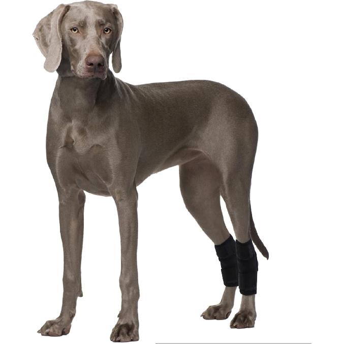 ROZKITCH Dog Leg Protector for Rear Hock Joint or Front Leg Knee, 1 Pair of Dog Leg Compression Wrap Sleeve for Anti Licking Carpal Support Ankle