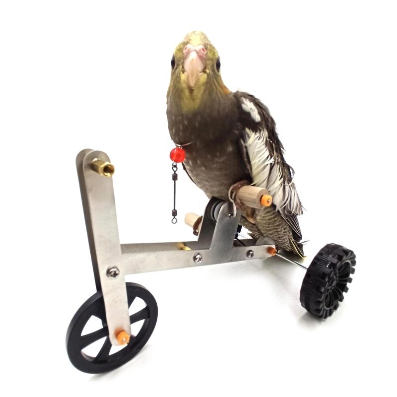 parrot bike toy