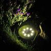 Lampe Solaire - RICEEL - 8 LED - 3000K Blanc Chaud - Etanche IP65 - Jardin Extérieur