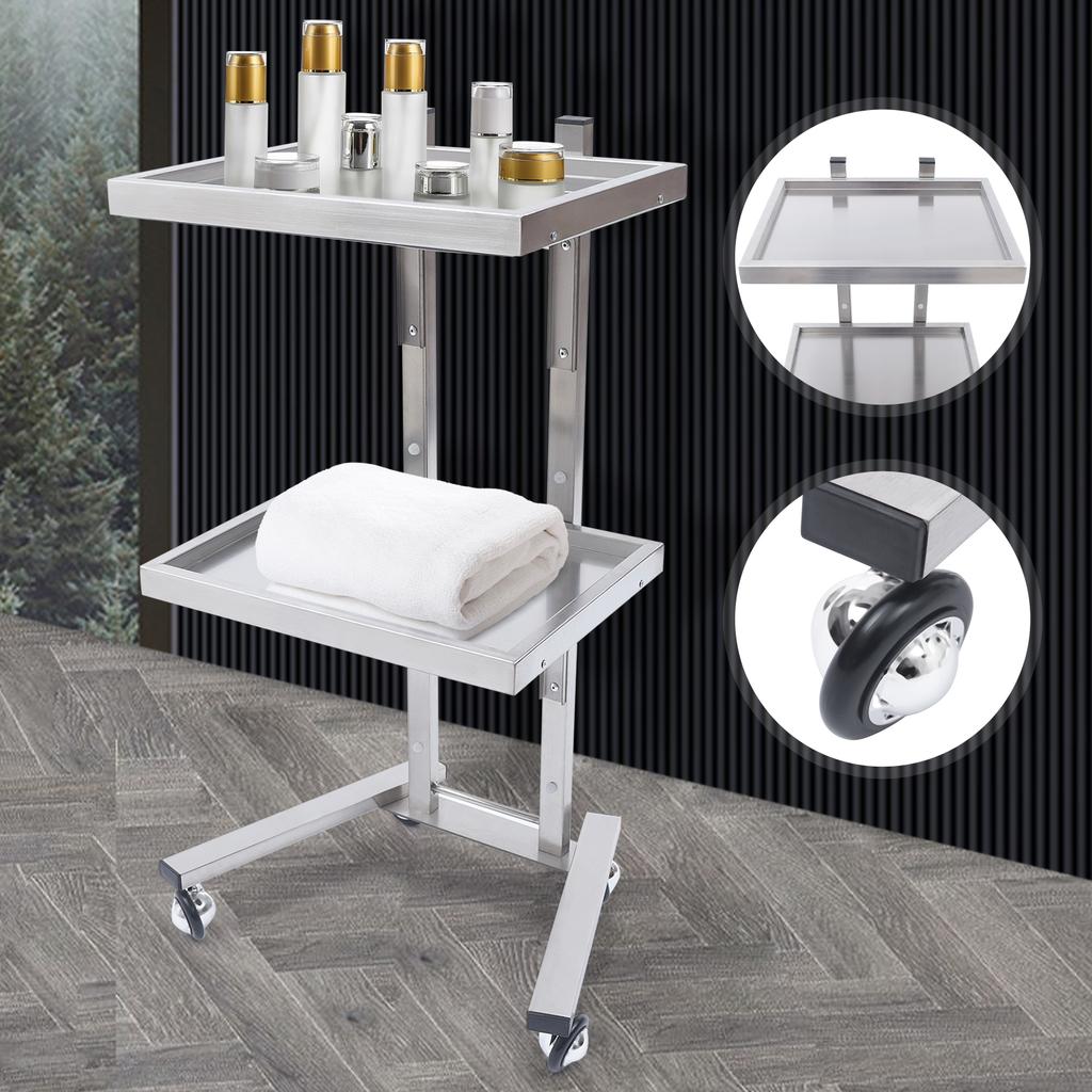 2-Tier Mobile Beauty Hairdressing Cart, Stainless Steel Rolling Utility Organizer for Salon Styling Supplies, 11lbs Capacity