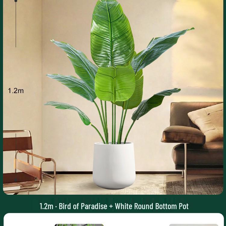 High-End Indoor Bird of Paradise Decor: Luxury Potted Traveler's Palm