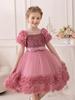 Girls' Flower Puff Tulle Dress - New Style Formal Skirt for Birthdays & Parties