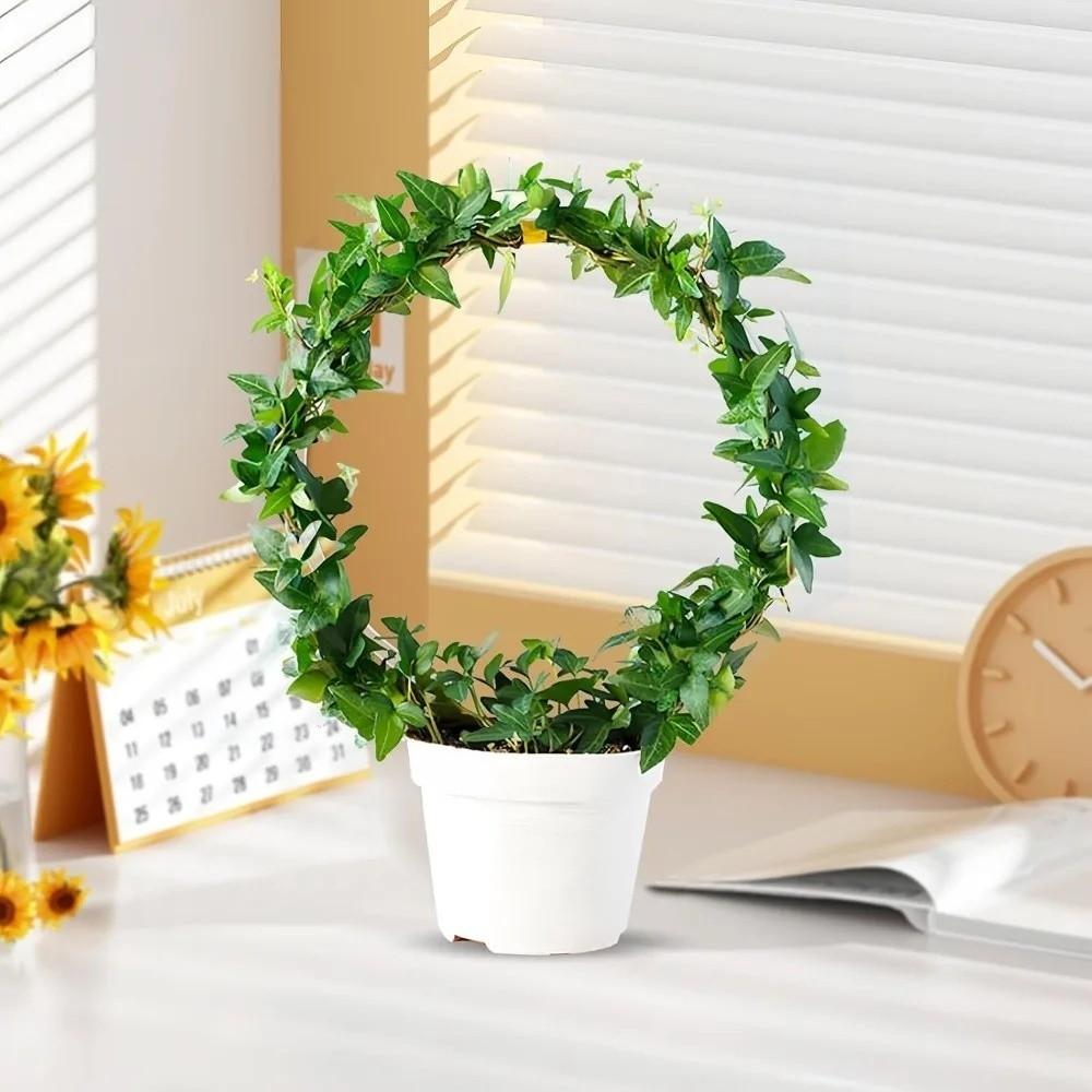 Weather-resistant Acrylic Plant Bracket Transparent Plants Growth Stand  Indoor Plants