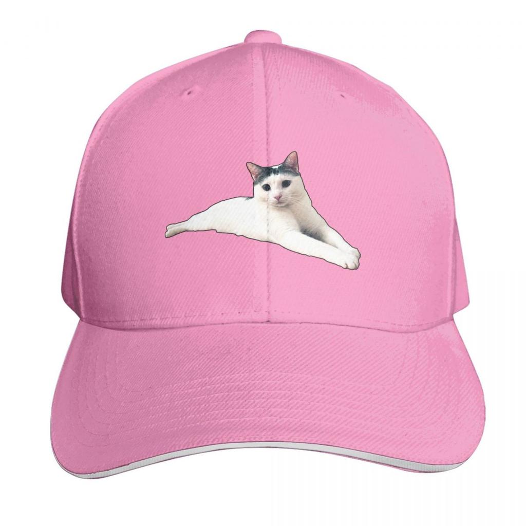Sandwich Laying Nicely Baseball Cap Vintage Luxury Women Cap Custom Hat Hat Unisex For The Sun Hats Unisex Womens