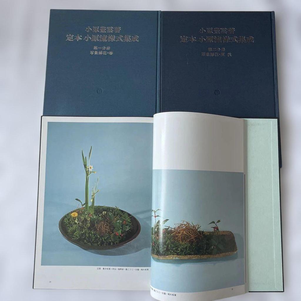 [USED] Ikebana: 9 Volumes, Tsukushi No Hanafu, Ohara School Textbook, Ohara School Style Collection, Ikebana Plant Encyclopedia