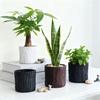 Kunststoff Blumentöpfe im Baumrinden-Stil, Kleine Sukkulenten-Pflanzgefäße für Heimdekoration, Moderner Mini-Indoor-Garten-Topf