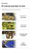 CB NP Liquid: NO3/PO4 Reducer, Enhances Coral Color, Stabilizes Water Quality