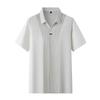 Di Bin Ze Men's Plus Size Ice Silk Polo Shirt