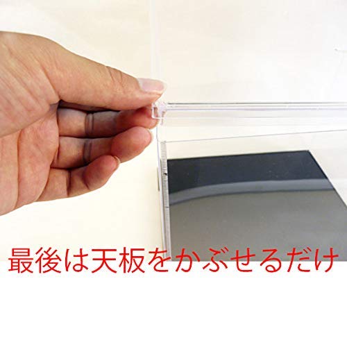 Fairyland Box Collection Case, Square Base, Width 32cm, Depth 32cm, Height 32cm