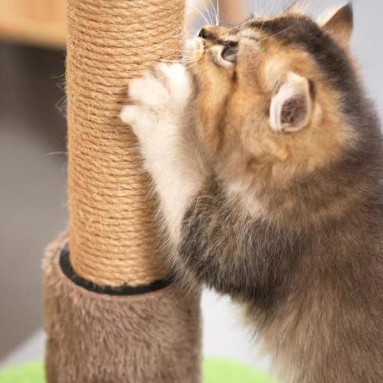 Cat Toy Realistic Coconut Tree Shape Scratching Post with Sisal Claw Grinding Column Hanging Balls Interactive Cat Scratcher