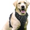 Nylon Dog Leash and Chest Harness for Large Dogs