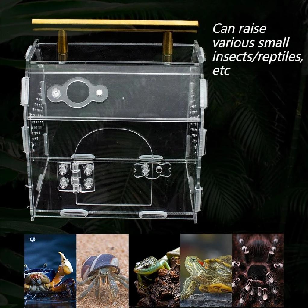Reptile Terrarium Acrylic Portable Portable Small Reptile Breeding Box Spider Tortoise Snail Terrarium Reptiles Pet House Cage