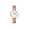 PETITE Series Watch Quartz Movement Stainless Steel Strap 28mm White Dial Women's Watch Modern Retro DW00100681