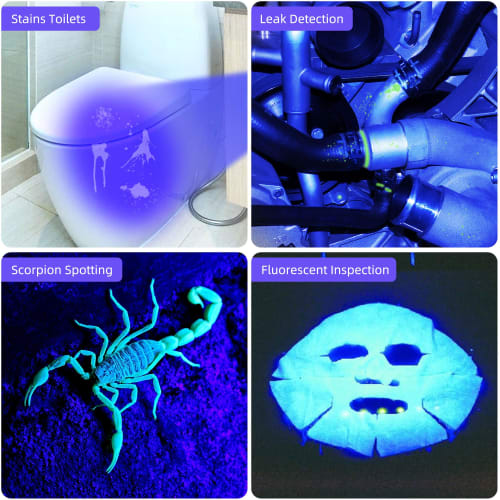 DARKBEAM UV Flashlight, 365nm Blacklight, Mini & Powerful Wood's Lamp, USB-C LED Rechargeable Blacklight Flashlight, Pocket Pet Dog Urine Detector - F