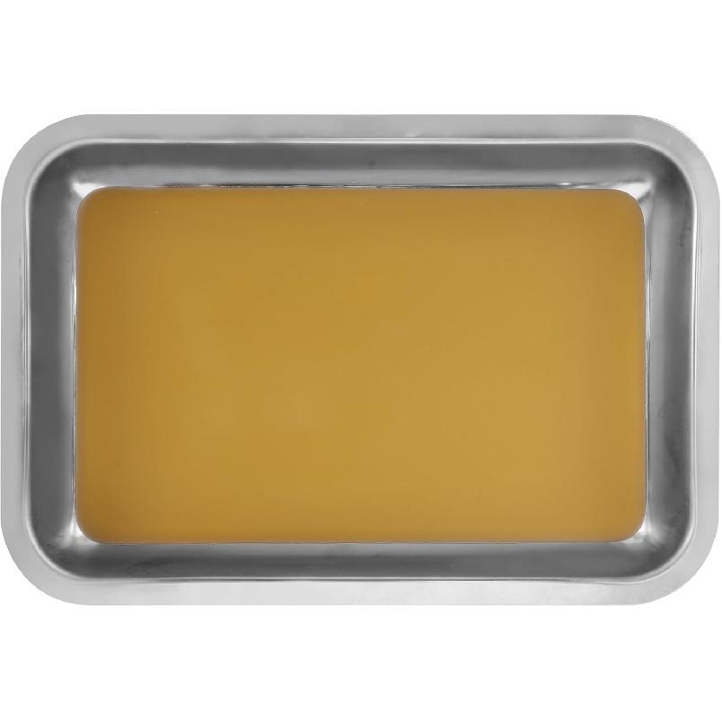 Hemoton Wax Dissection Tray,Stainless Steel Dissection Tray,Premium Anatomy Tray,Wax Dissecting Tray,Dissection Pan with Wax,Lab Dissecting Pan