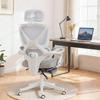 Reclining Mesh Desk Chair with Headrest, Lumbar Support, Footrest and Adjustable Height, Light Gray