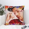 Harrys Styles Pillow Cover Soft Cushion Cover Retro Trendy Pillow Case For Living Room Chair
