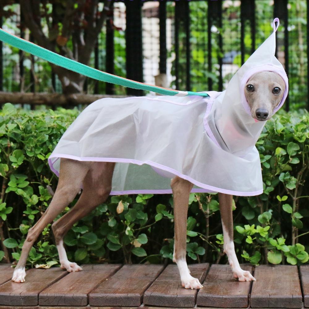 Waterproof Rainproof Windproof Abdomen Fixed Cape For Italian Greyhound Transparent Lightweight Hooded Raincoat In Summer Spring