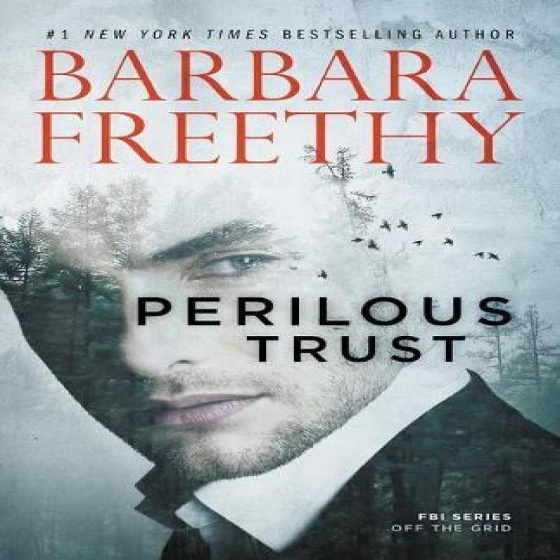 Perilous Trust by Barbara Freethy Paperback Book 9781944417321