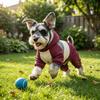 Waterproof Padded Dog Jacket Windproof Winter Dog Clothes Stylish Puppy Storm Coat  Small Dogs