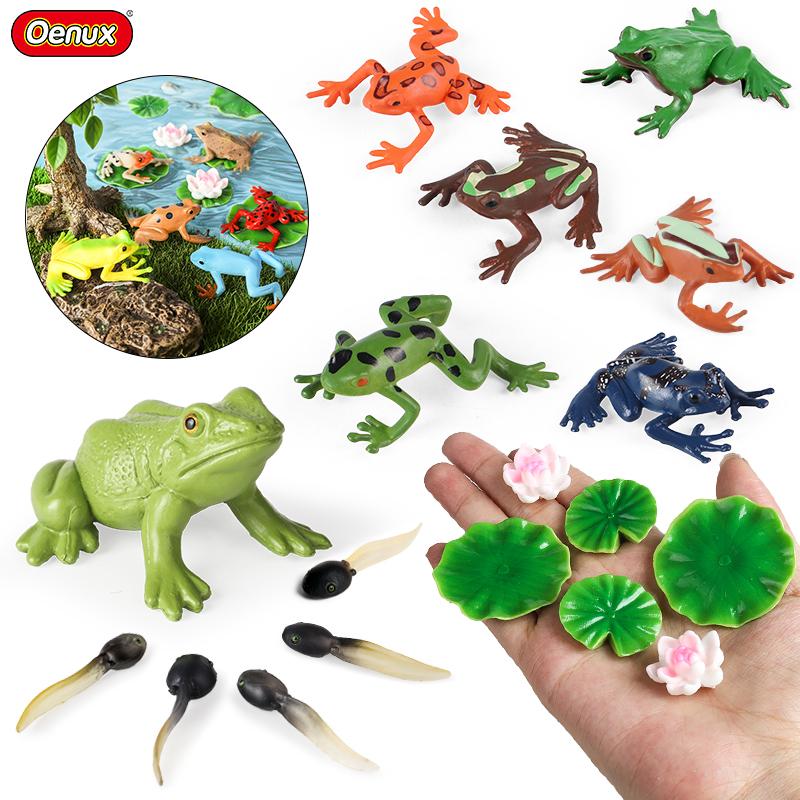 Oenux Pond Lake Animals Frog Model Simulation Lotus Leaf Tadpole Action Figures PVC Miniature Cute Educational Toys Kids Gift