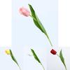 Premium Tulipa Gesneriana Künstliche Blume für Heimdekoration Hochzeitsfotografie und Partydekoration