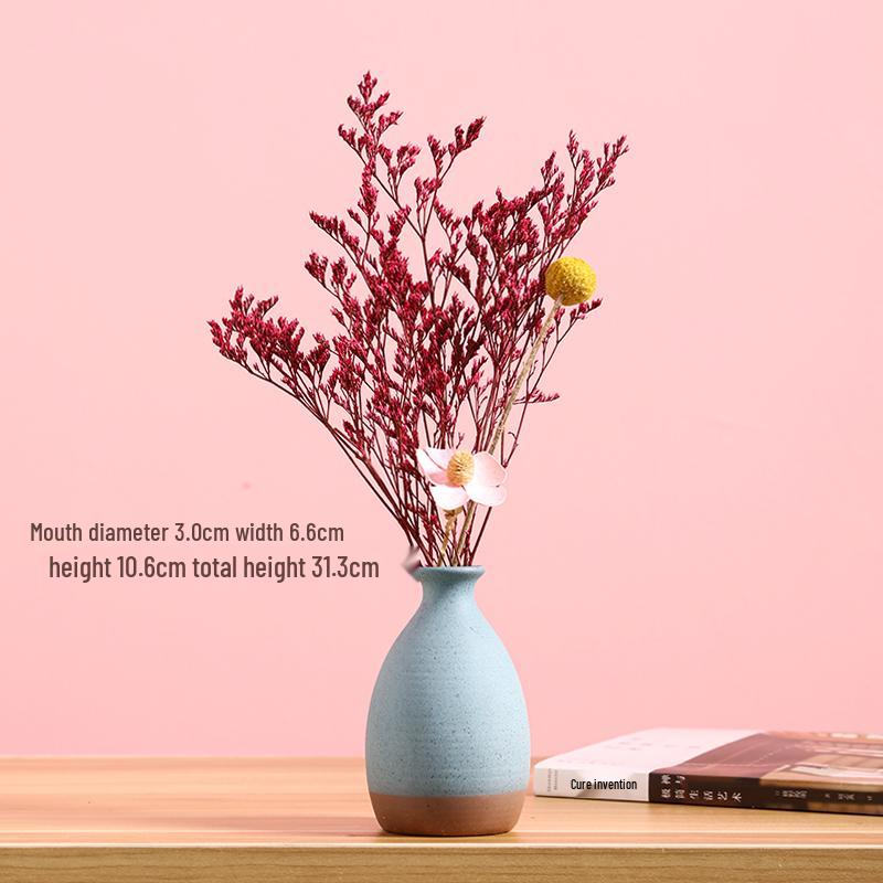 Morandi Style Small Vase: Coffee Table, Living Room, Dried Flower Arrangement, Homestay & Home Decoration