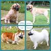 Long Snout Pet Muzzle Lightweight Anti Bite Muzzle No Chafe Dog Bark Stopper  Medium Large Dogs