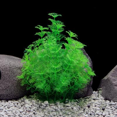 Pești și animale marine – Decorul acvariului