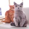 Creative 3D Kitten Pillow Plush Toy Doll - Soothing Child's Play Doll