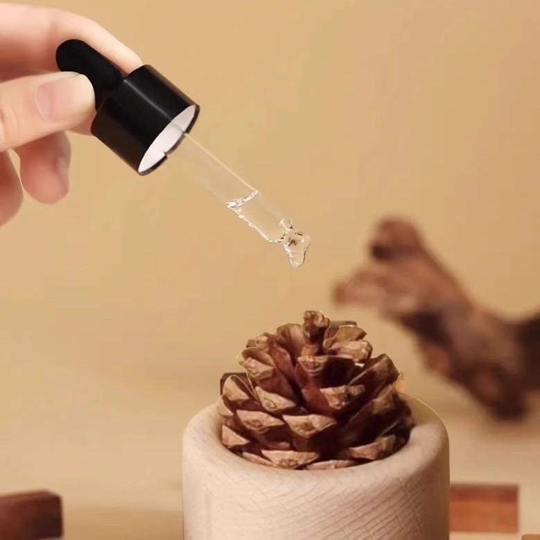 Pine Cone Flameless Diffuser for Bedroom – Newcomer Discount Available