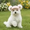 Ice Cream Pattern Dog Fisherman Hat Sun Protection Dog Visor Hat Pet Sun Hat  Dogs Cats
