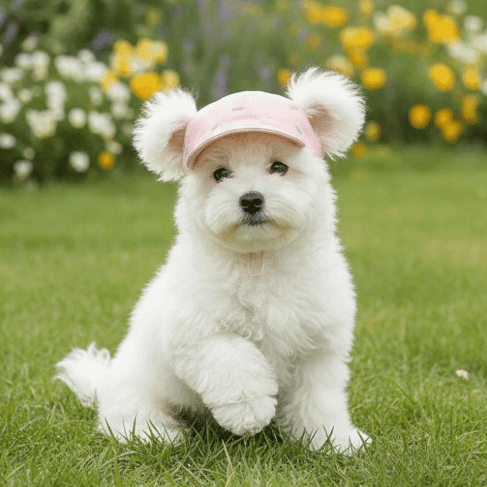 Ice Cream Pattern Dog Fisherman Hat Sun Protection Dog Visor Hat Pet Sun Hat  Dogs Cats