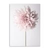 Nordic Minimalist Pink Flower Poster Peony Cherry Blossom Chrysanthemum Quotes Canvas Painting Wall Art Pictures for Home Decor