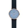 Skagen AAREN NATURALS SKW2972 Women's Watch, Gray, Officially Imported