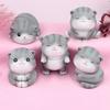 Nis Wind Personalized Cute Cat Cake and Car Ornament