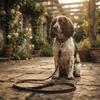Laisse pour Chien Tressée Cuir Synthétique Résistant 120 cm noir